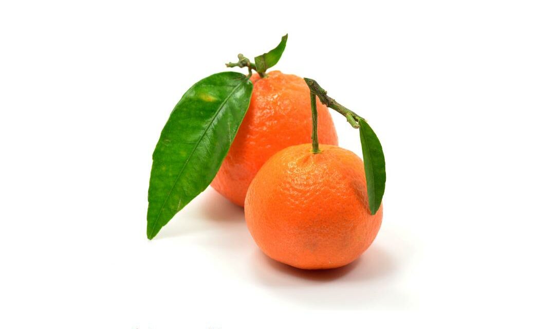 Le clementine 🍊